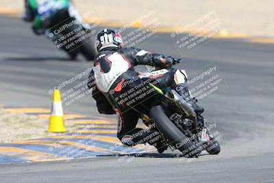 media/Mar-10-2024-SoCal Trackdays (Sun) [[6228d7c590]]/9-Turn 8 Backside (1150am)/
